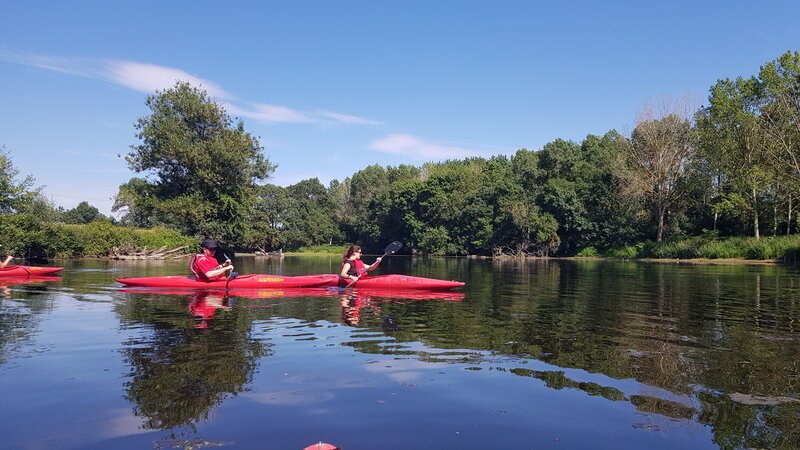 Deux personnes pagayant dans des kayaks rouges sur une rivière calme bordée d'arbres, sous un ciel bleu éclatant en plein été.
